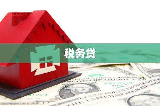 内门税务贷