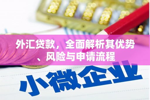 内门外汇贷款，全面解析其优势、风险与申请流程