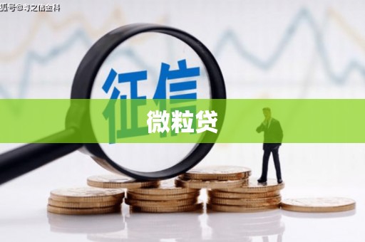 内门微粒贷