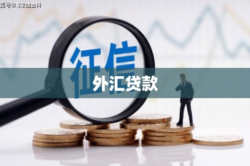 内门外汇贷款