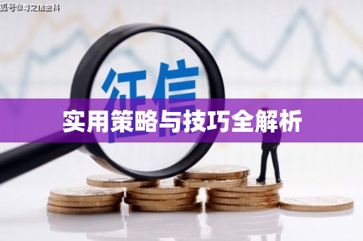 内门实用策略与技巧全解析
