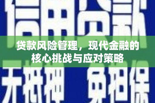 内门贷款风险管理，现代金融的核心挑战与应对策略