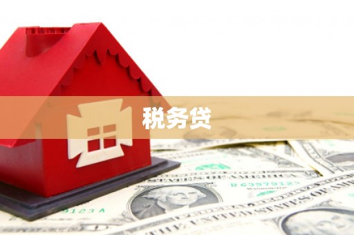 内门税务贷