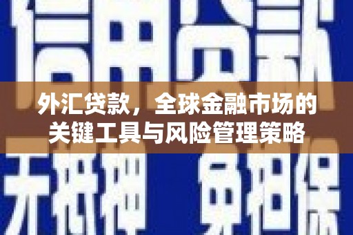 内门外汇贷款，全球金融市场的关键工具与风险管理策略
