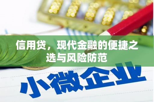 内门信用贷，现代金融的便捷之选与风险防范