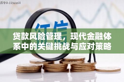 内门贷款风险管理，现代金融体系中的关键挑战与应对策略