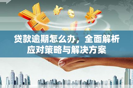 内门贷款逾期怎么办，全面解析应对策略与解决方案