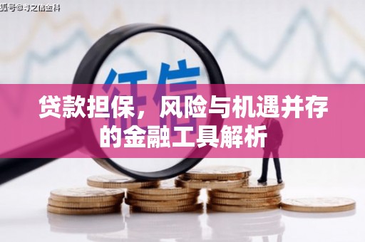 内门贷款担保，风险与机遇并存的金融工具解析