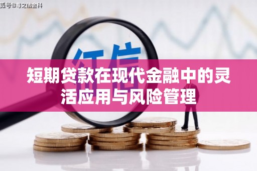 内门短期贷款在现代金融中的灵活应用与风险管理