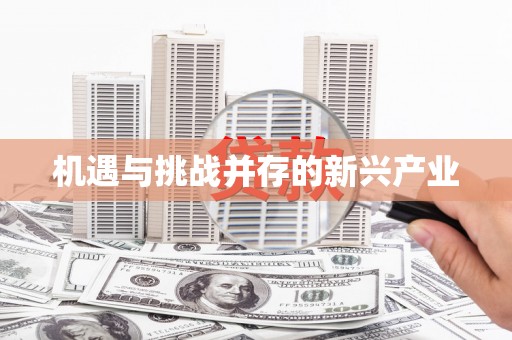 内门机遇与挑战并存的新兴产业