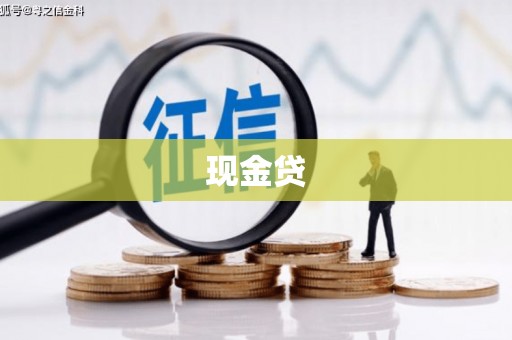 内门现金贷