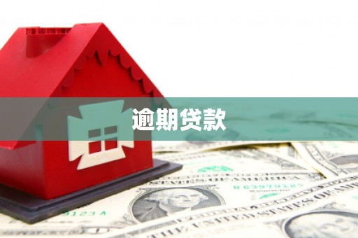 内门逾期贷款